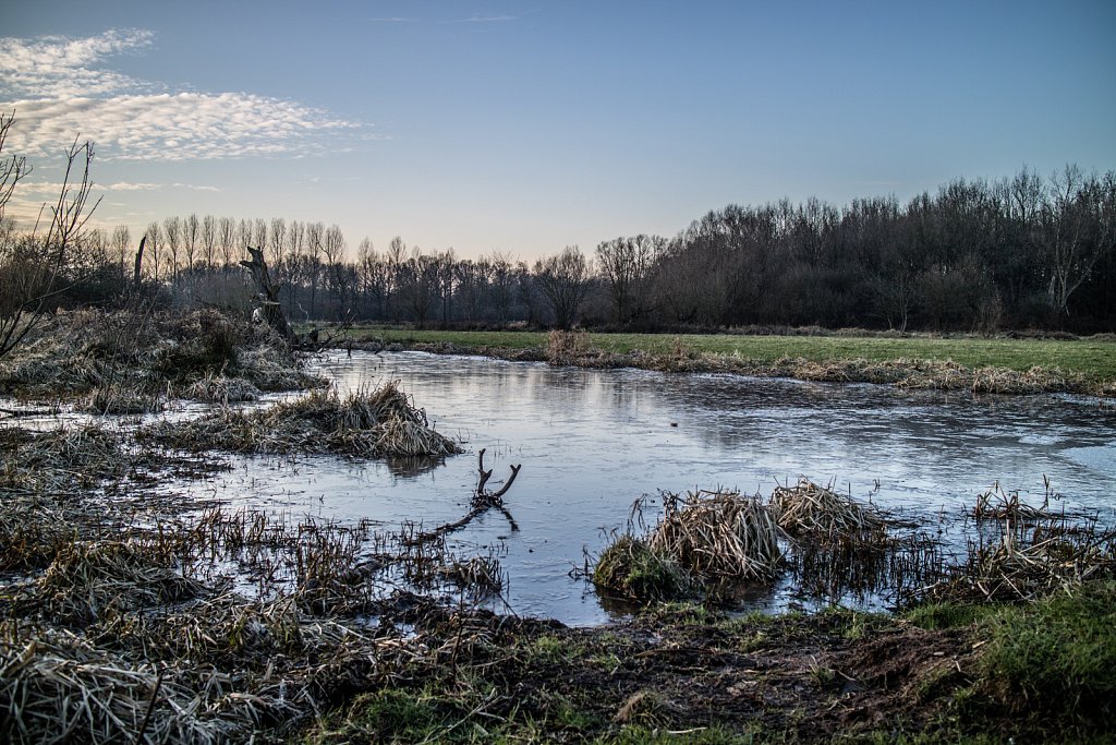 7-februari-2018.jpg